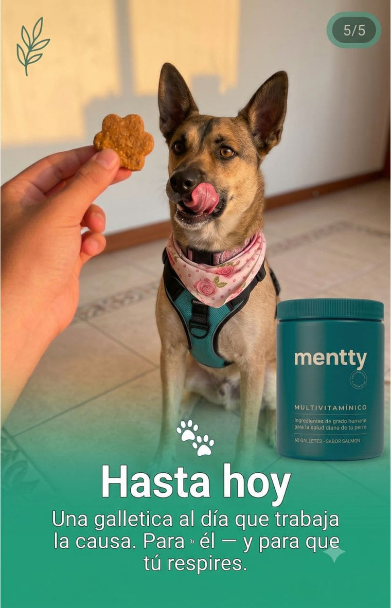 Hasta hoy