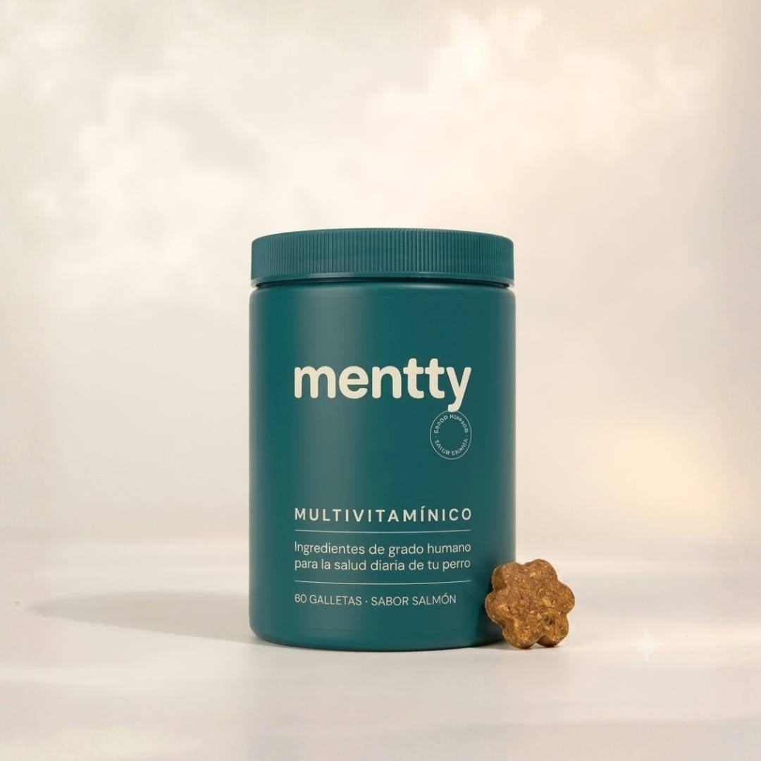 Mentty: Multivitamínico Diario 5 en 1